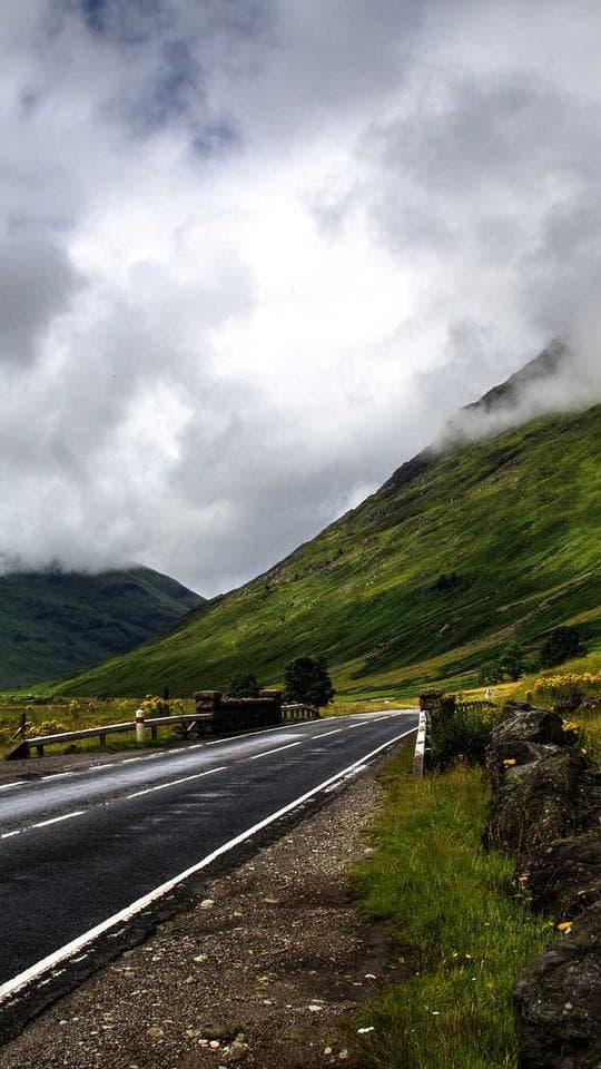 Buzdan Taç Yapraklar kapak varyanti 2