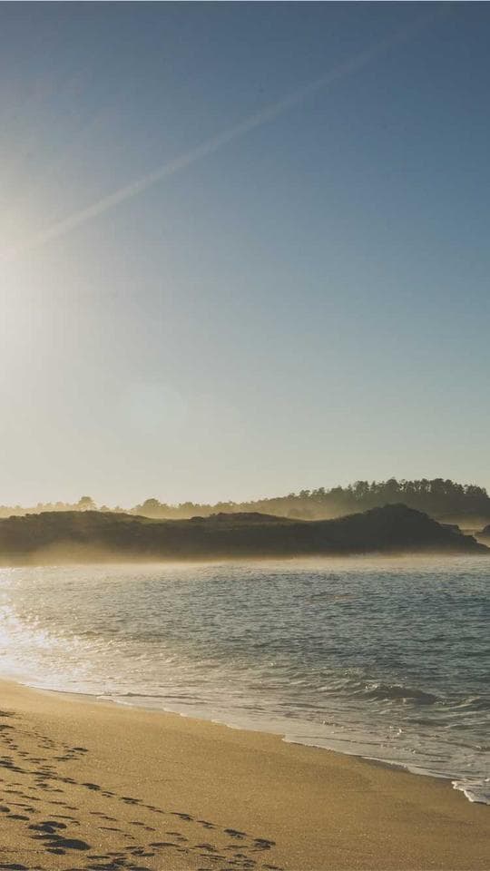 Gölge Sistem: Başlangıç kapak varyanti 2