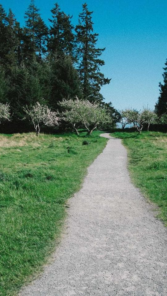 Gölge Sistem: Başlangıç kapak varyanti 3