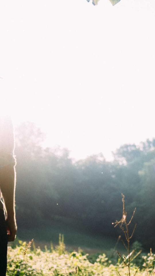 Kâğıt Sarayın Sonbaharı kapak varyanti 2