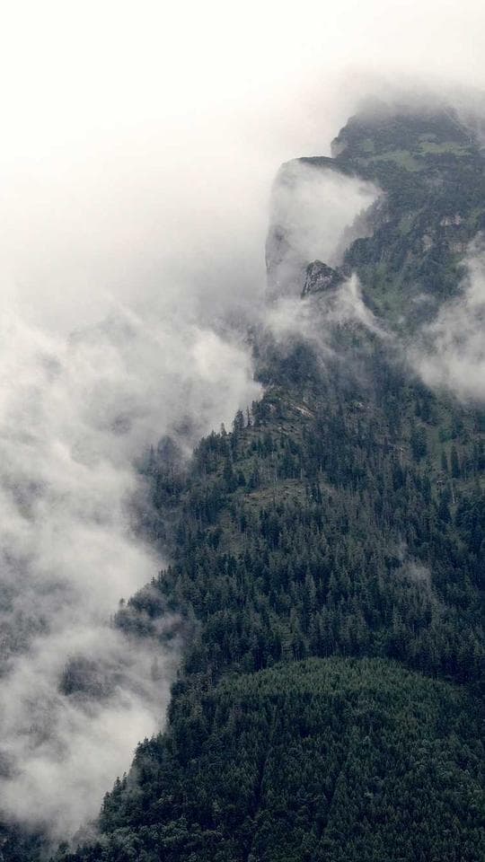 Kanla Yazılan İttifak kapak varyanti 2