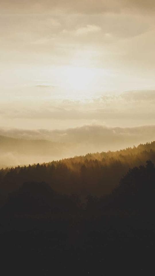 Kanla Yazılan İttifak kapak varyanti 3