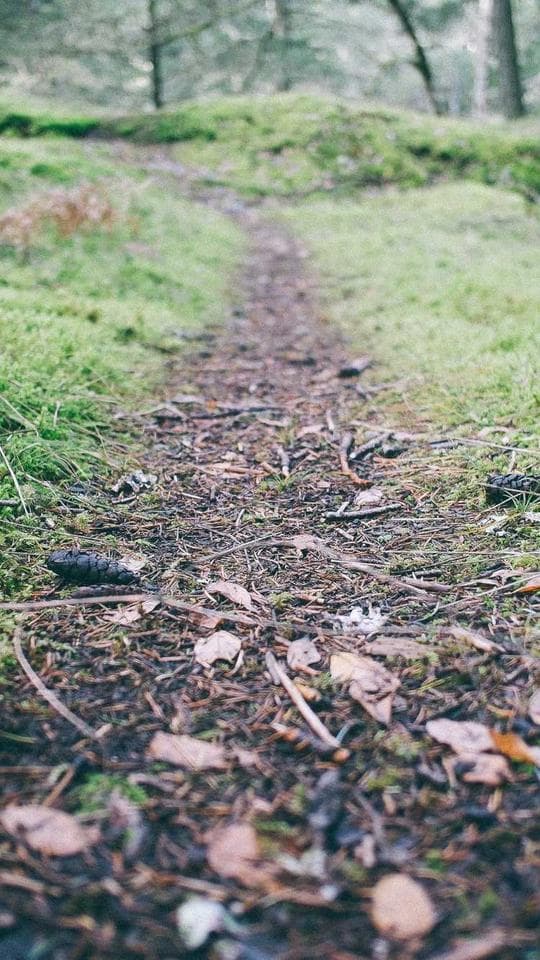 Neon Kablolar Arasında kapak varyanti 3