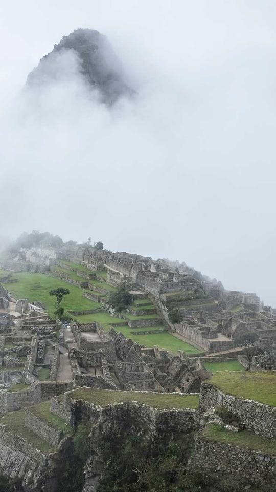 Paslı Hafıza Defteri kapagi