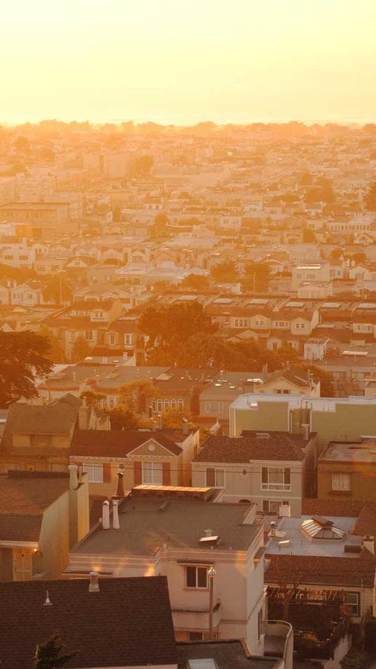 Paslı Hafıza Defteri kapak varyanti 2