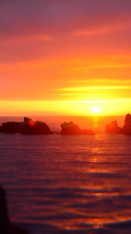 Sessiz Rasathane kapak varyanti 2